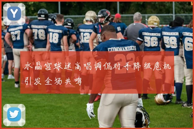 水晶宫球迷高唱调侃对手降级危机引发全场共鸣