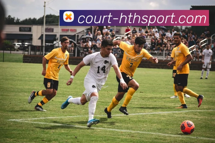 hth体育发展历程