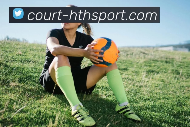 hth体育APP 封面图